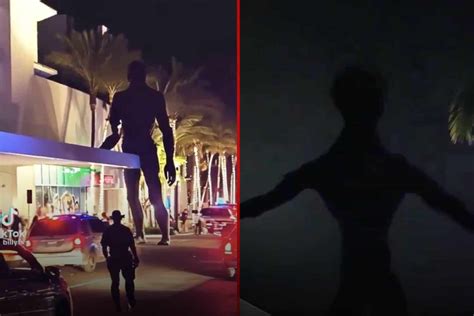 miami mall alien|MIAMI MALL INCIDENT MEGATHREAD : r/aliens